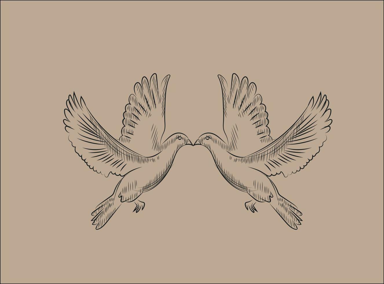 sketch of two flying doves vector