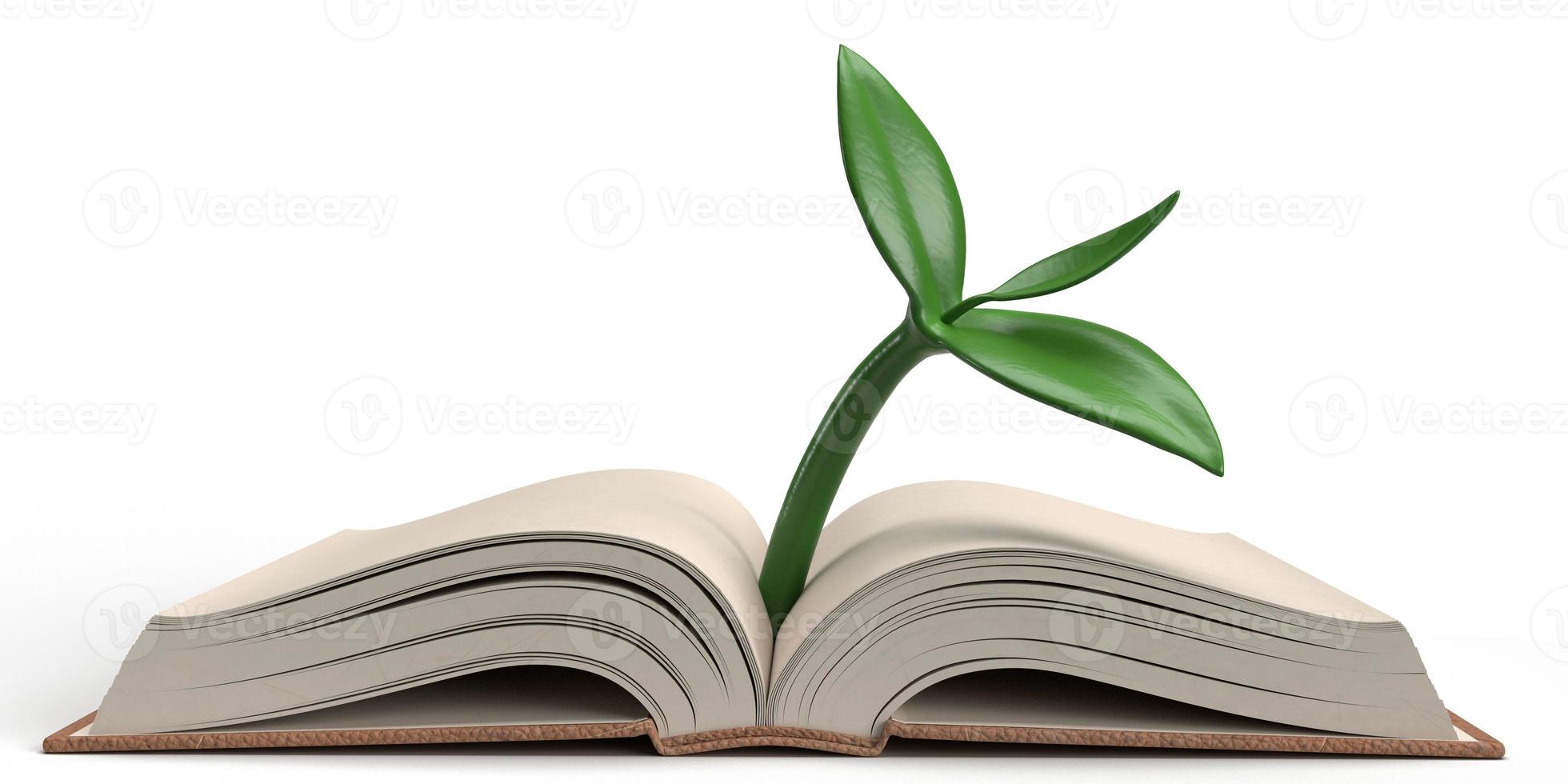 tree leaf plant green color environment symbol sign open book paper library knowledge story textbook information document literature education study teacher day wisdom university school.3d render photo