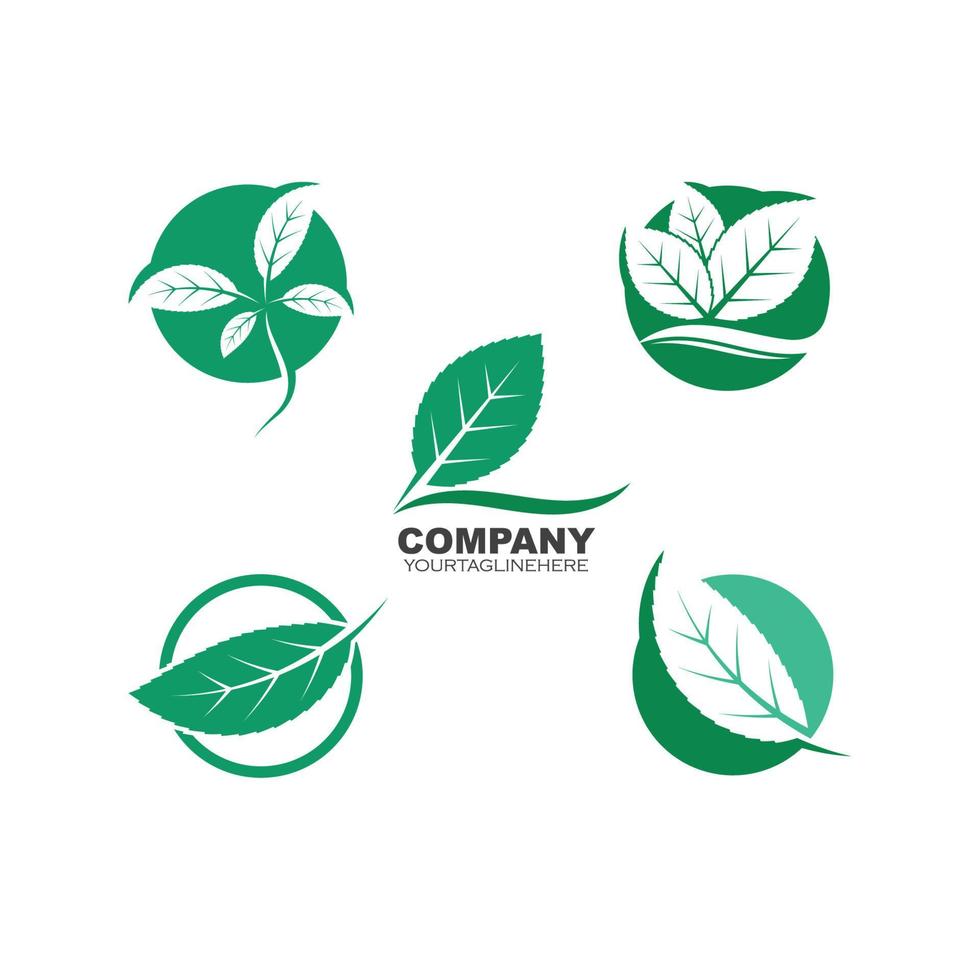 green leaf ecology nature element vector icon of go green