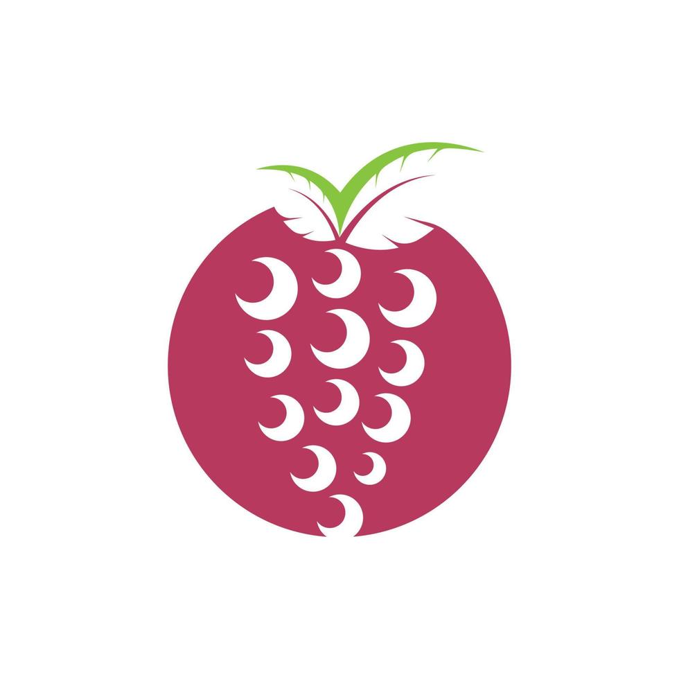 Grape fruits with leaf icon vector illustrtion