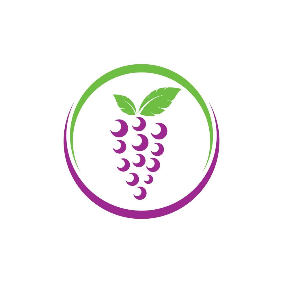 Grape fruits with leaf icon vector illustrtion