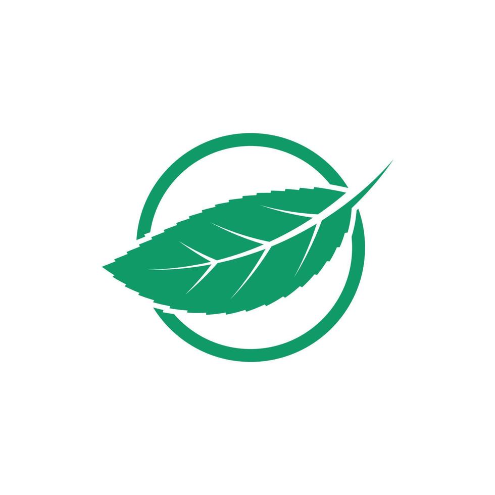 green leaf ecology nature element vector icon of go green