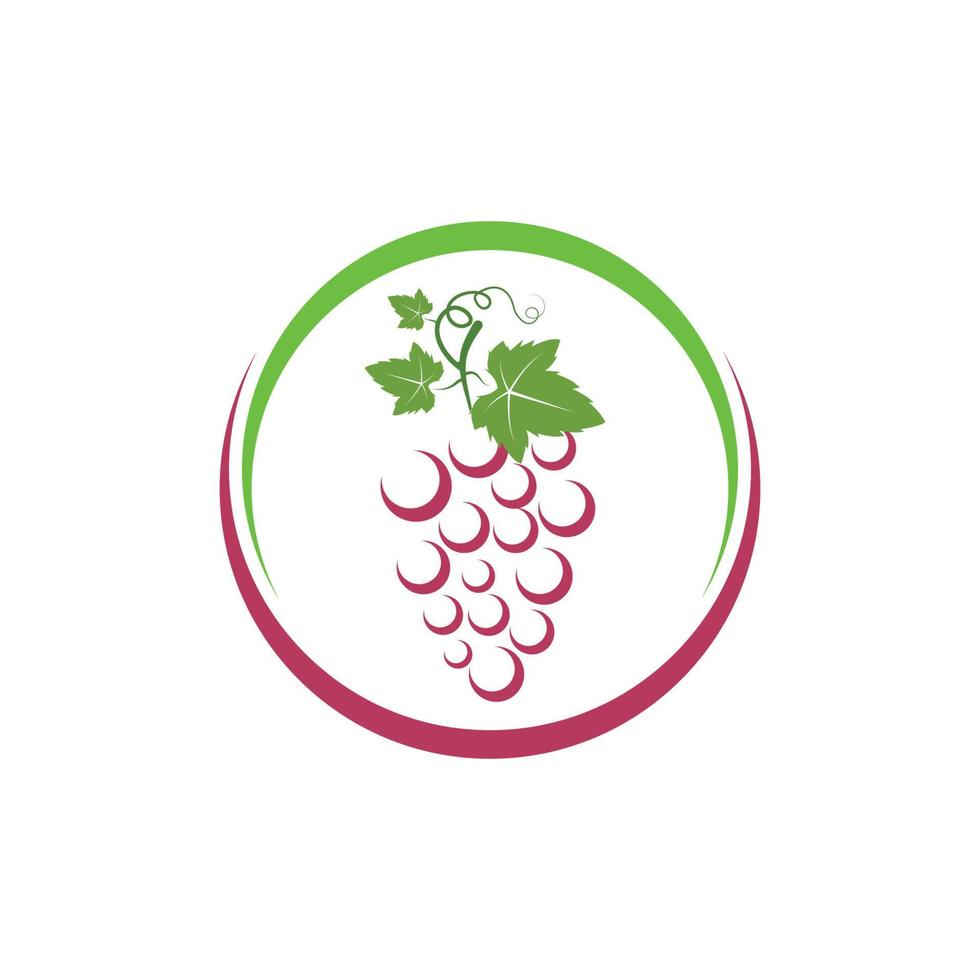 Grape fruits with leaf icon vector illustrtion