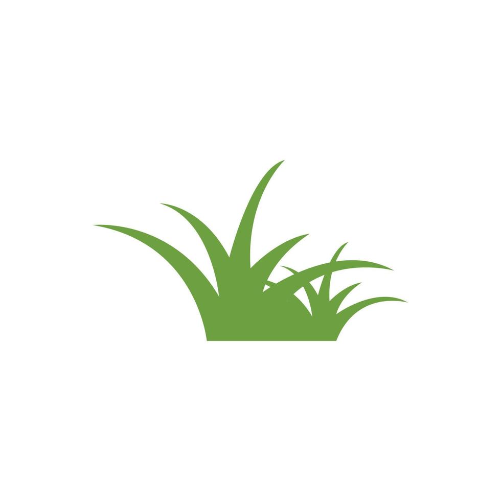 grass vector illustration template