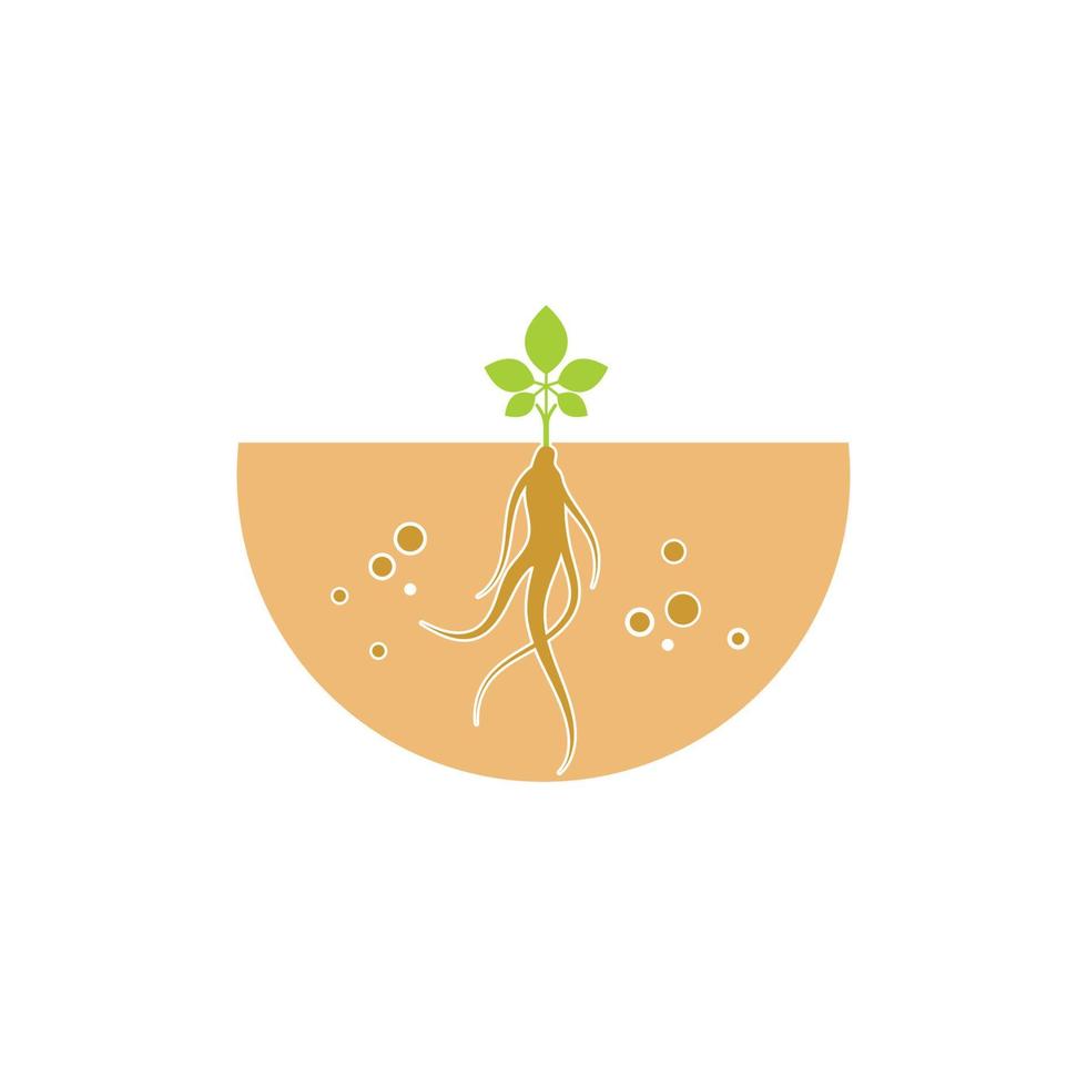 ginseng illustration icon vector design