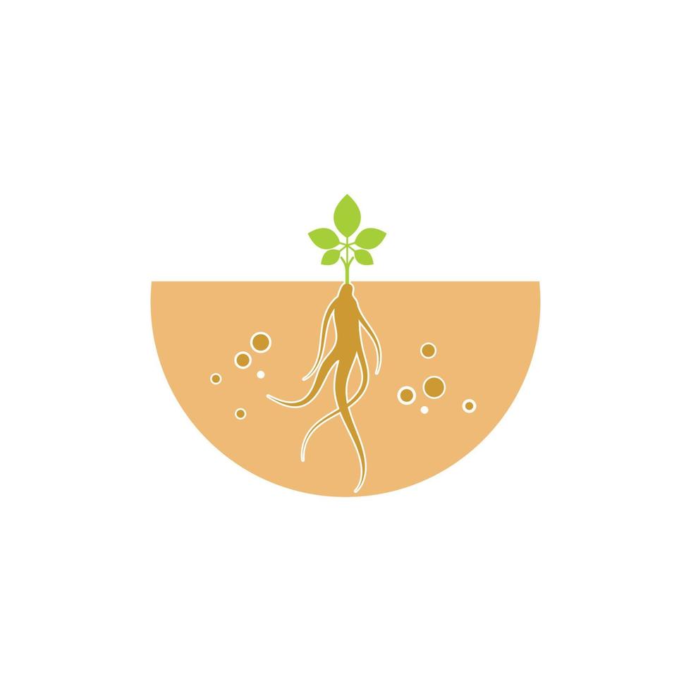 ginseng ilustración icono vector diseño