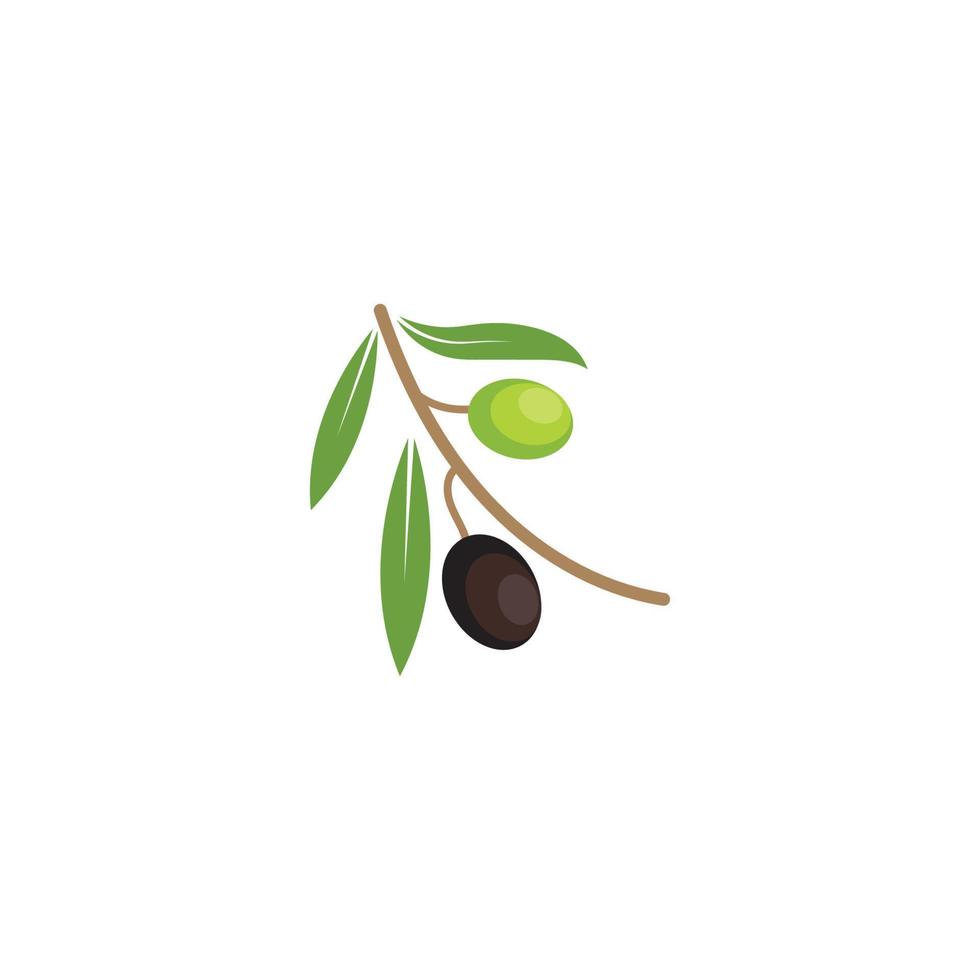 Ilustración de vector de icono de logotipo de oliva