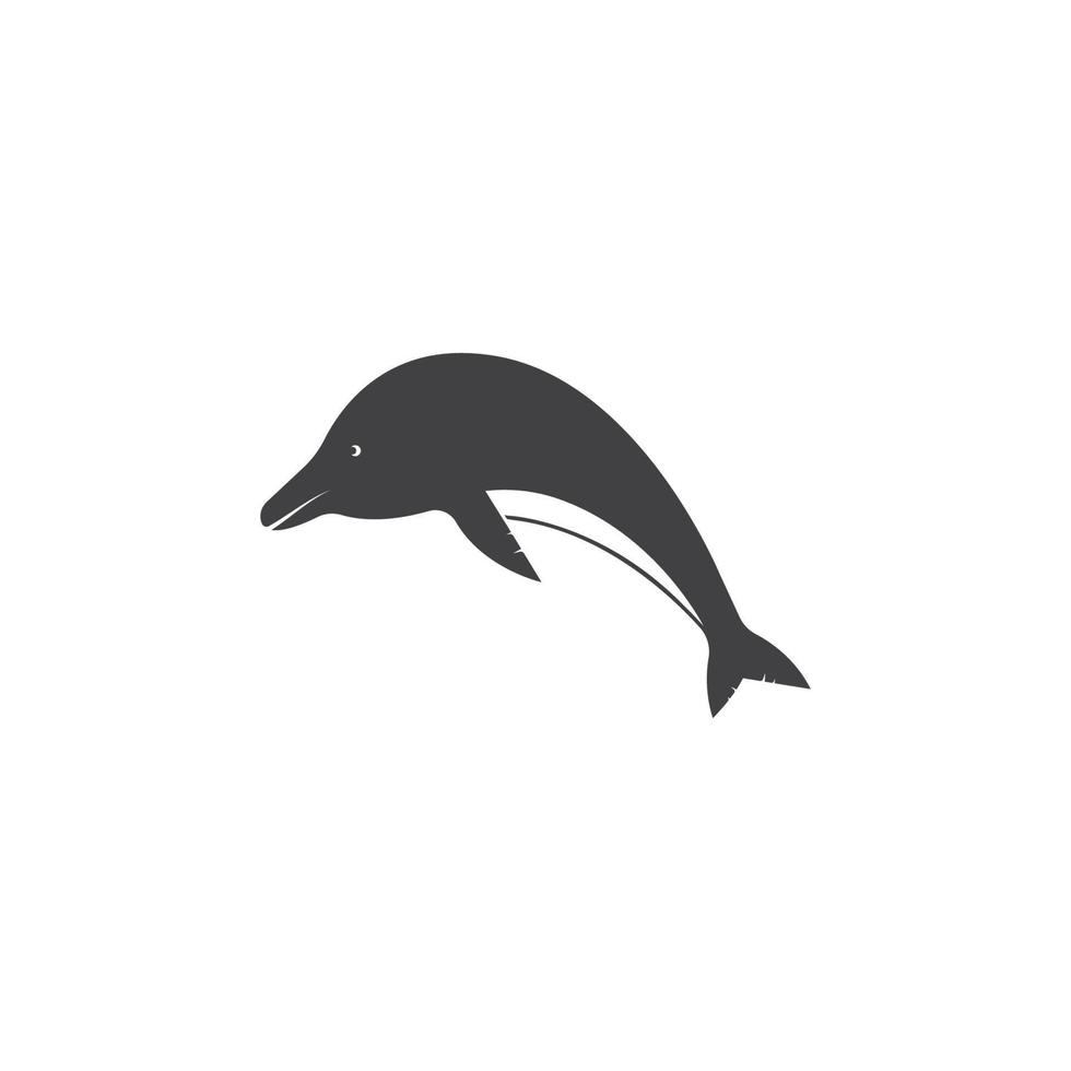 delfín logo icono vector