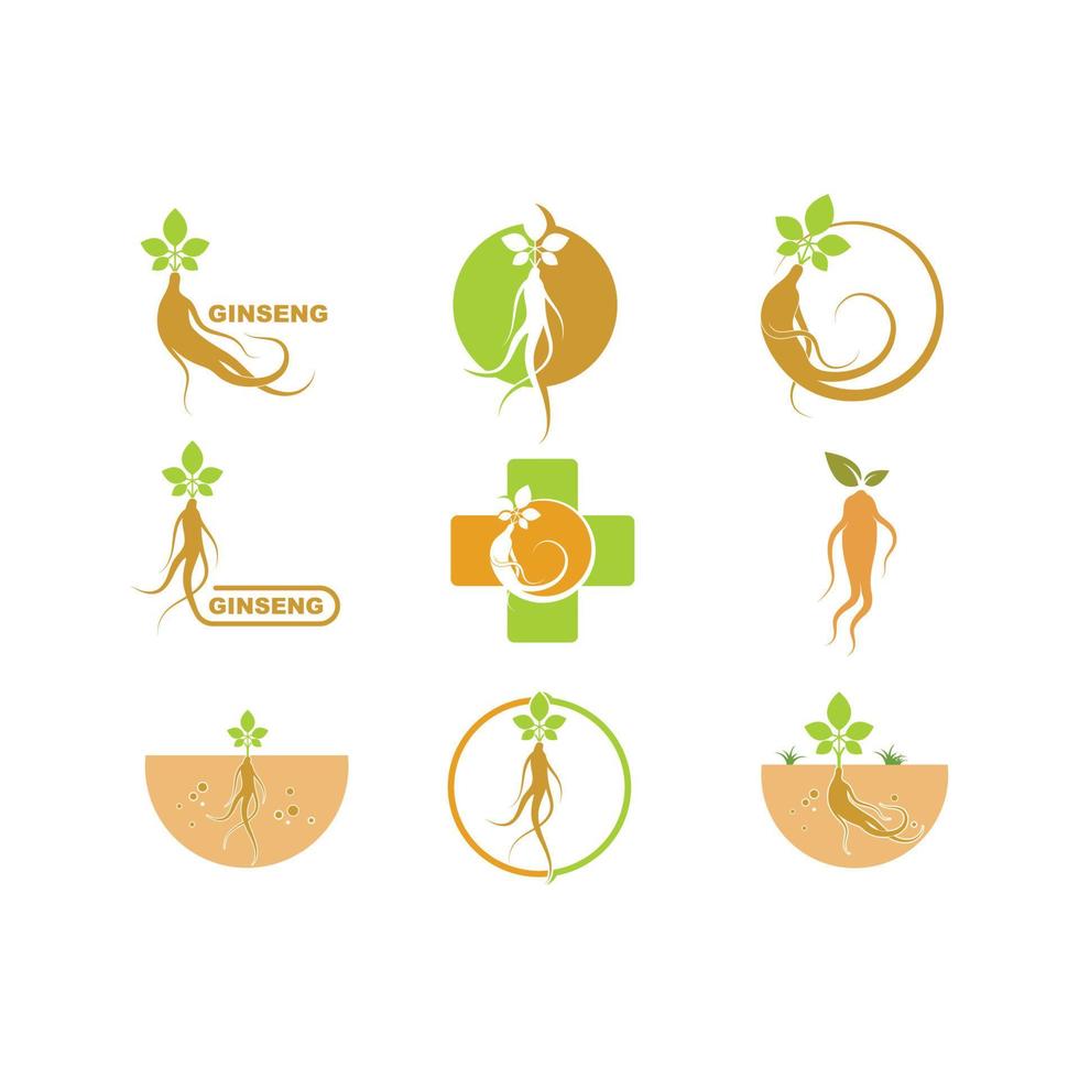 ginseng ilustración icono vector diseño