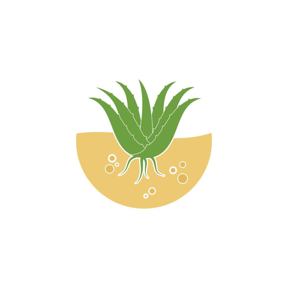 aloevera logo icon vector illustration design