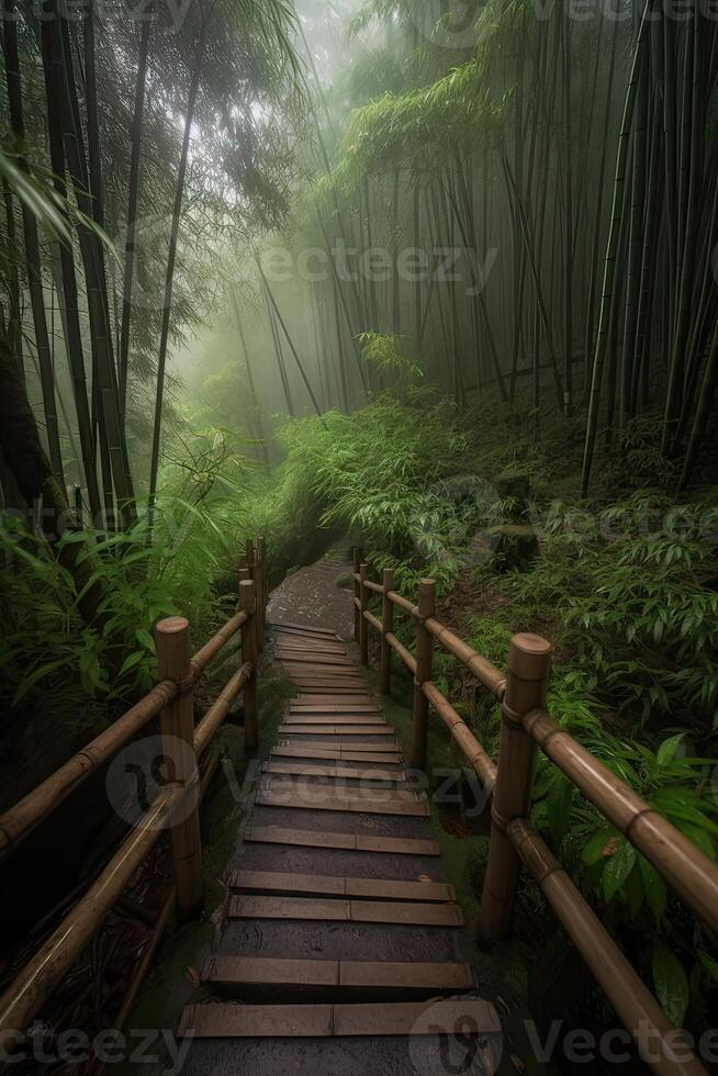 Scenery of Bamboo forest in spring surrounded by silence. Path to bamboo forest. . photo