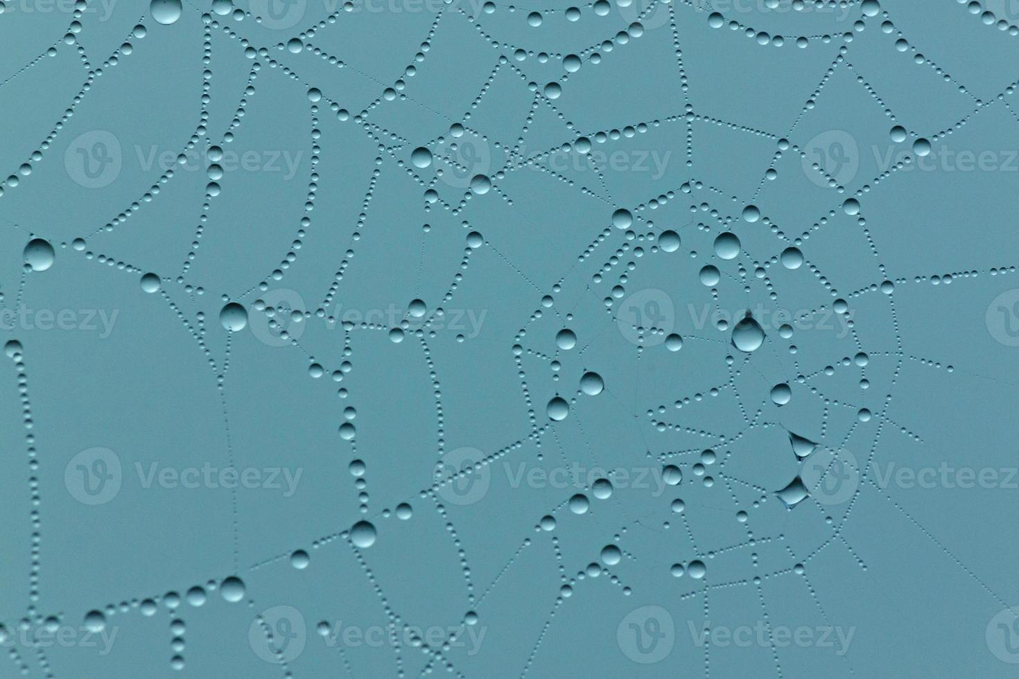 aqua background with close up of rain drops on cobweb photo