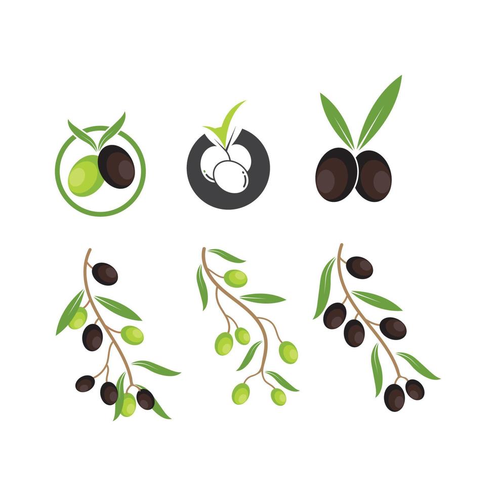 Ilustración de vector de icono de logotipo de oliva