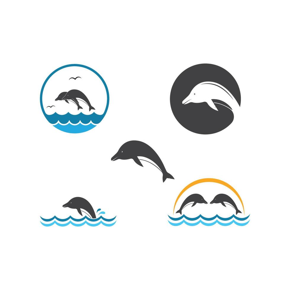 Dolphin logo icon vector