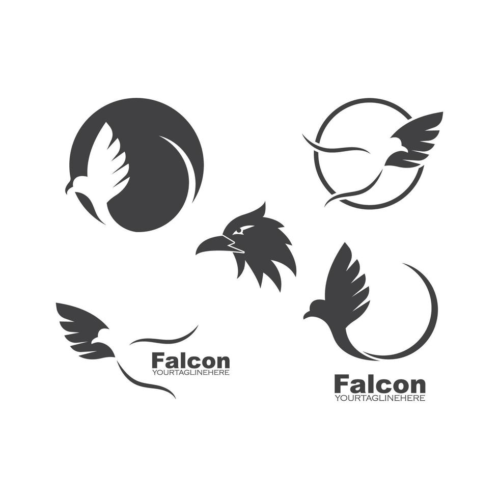 halcón, águila, pájaro, logotipo, plantilla, vector