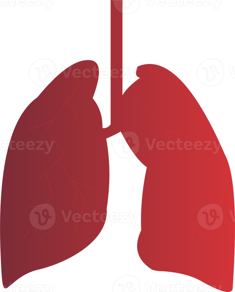 Lungs icon PNG