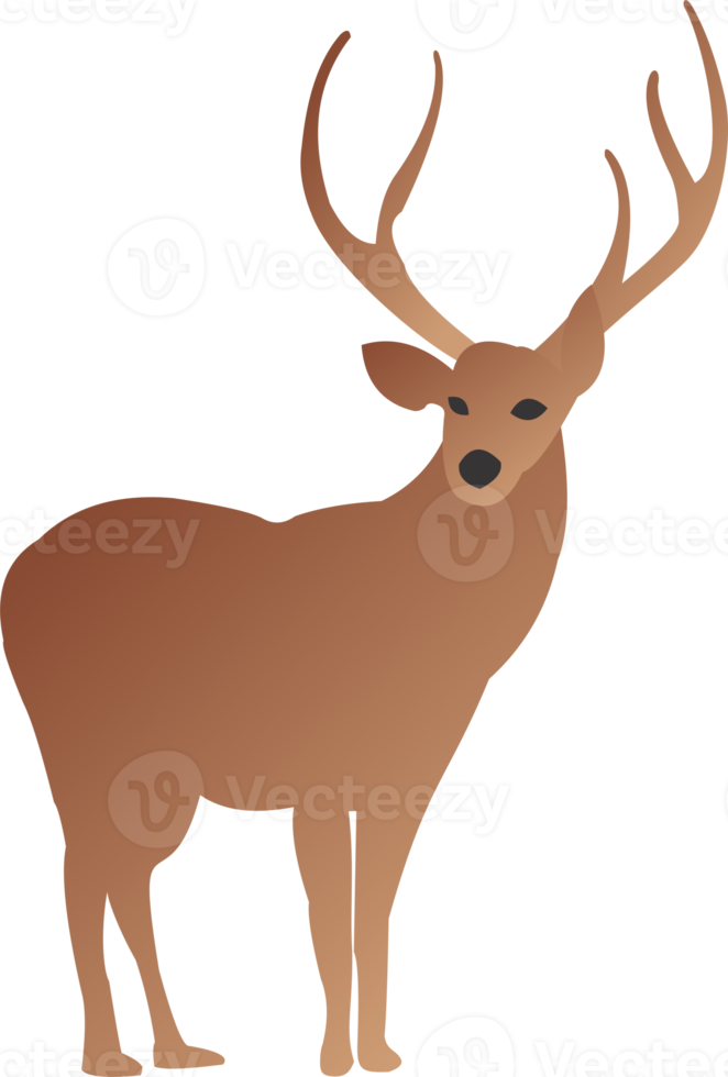Deer cute PNG