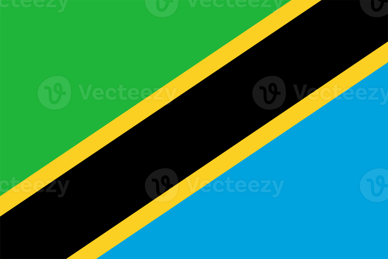 Tanzania flag PNG