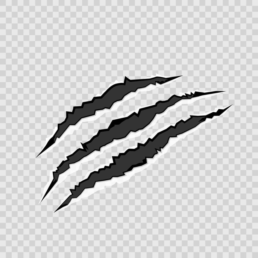 Realistic animal scratches vector. Illustration of rips, sharp claws of wild animals vector