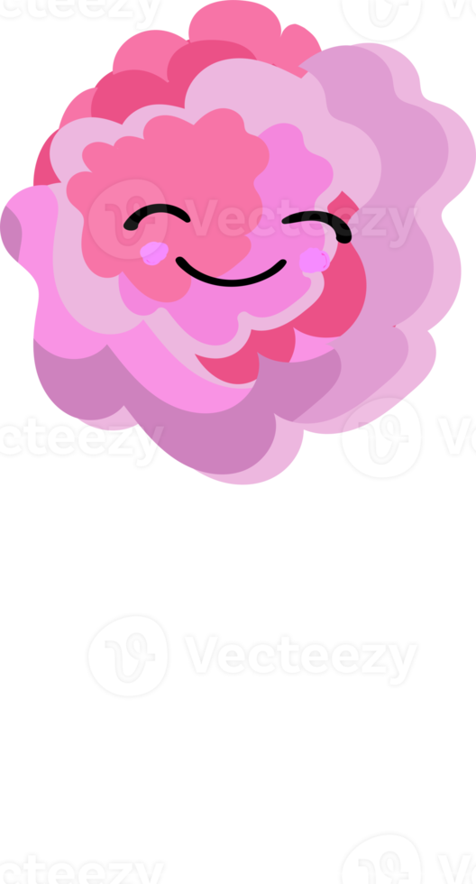 candy. Kawaii candy character.caramel lollipop png