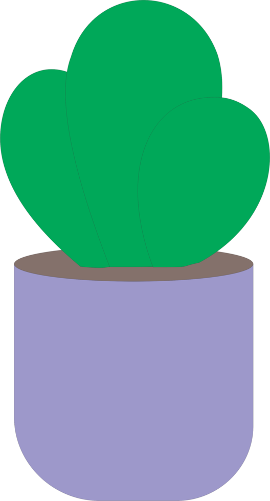 Cactus cartoon PNG