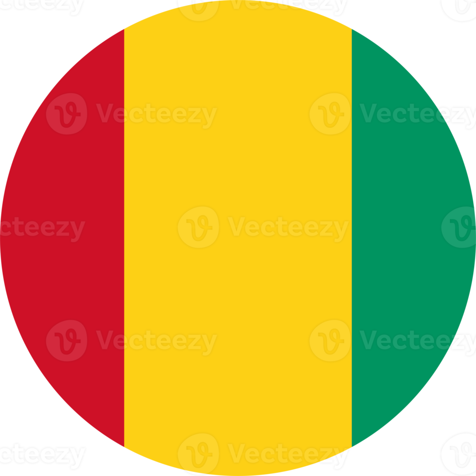 Guinea flag round shape PNG