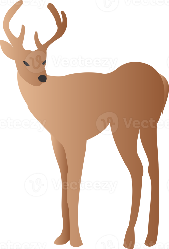 Deer cute PNG