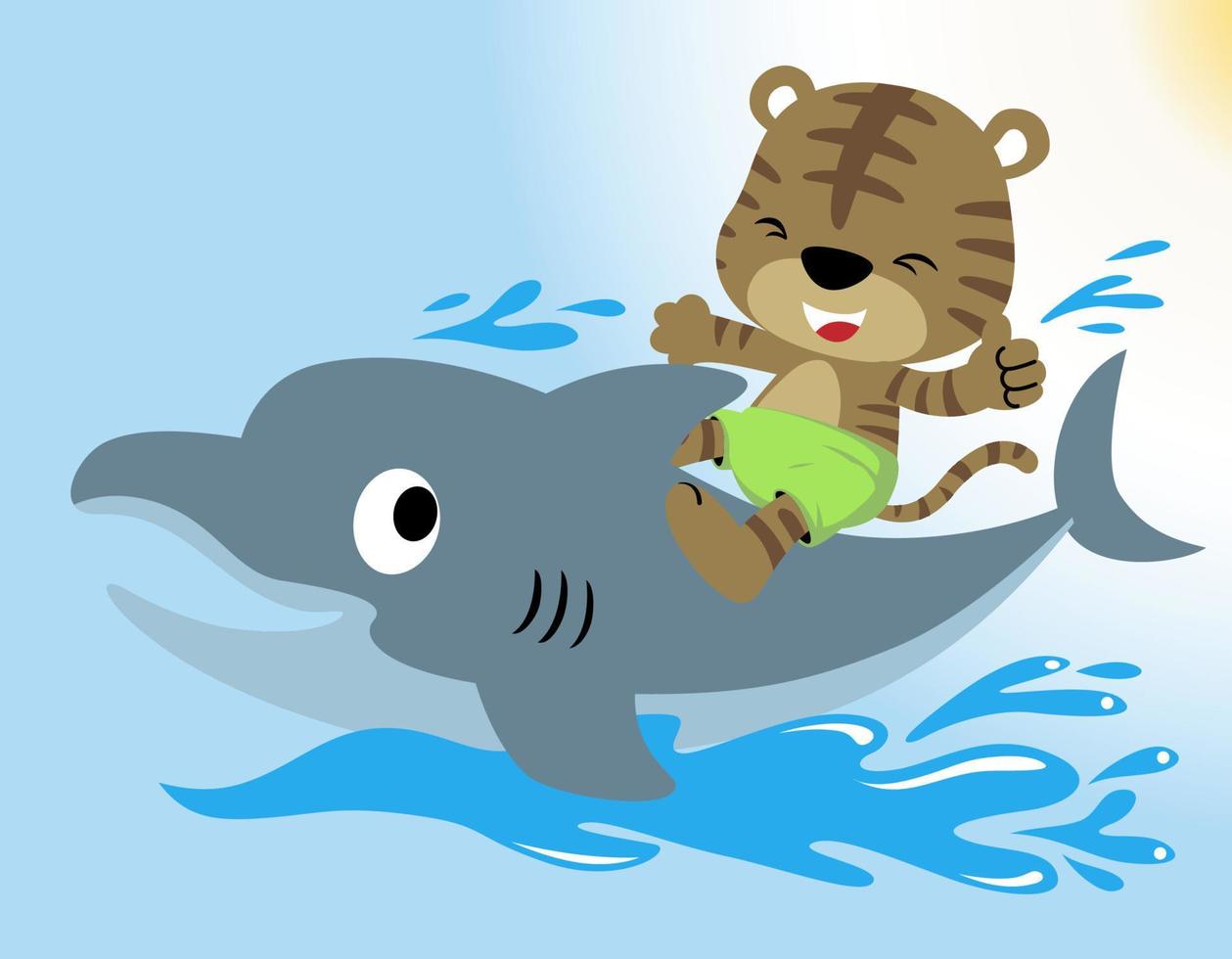 Vector illustration of cute kitten cartoon riding funny dolphin