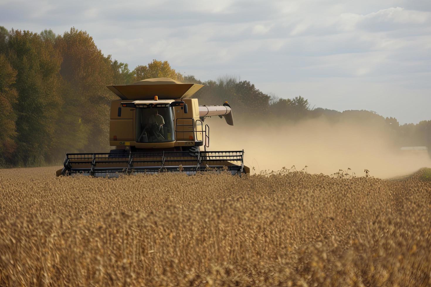 Harvesting of soybean field with combine photo