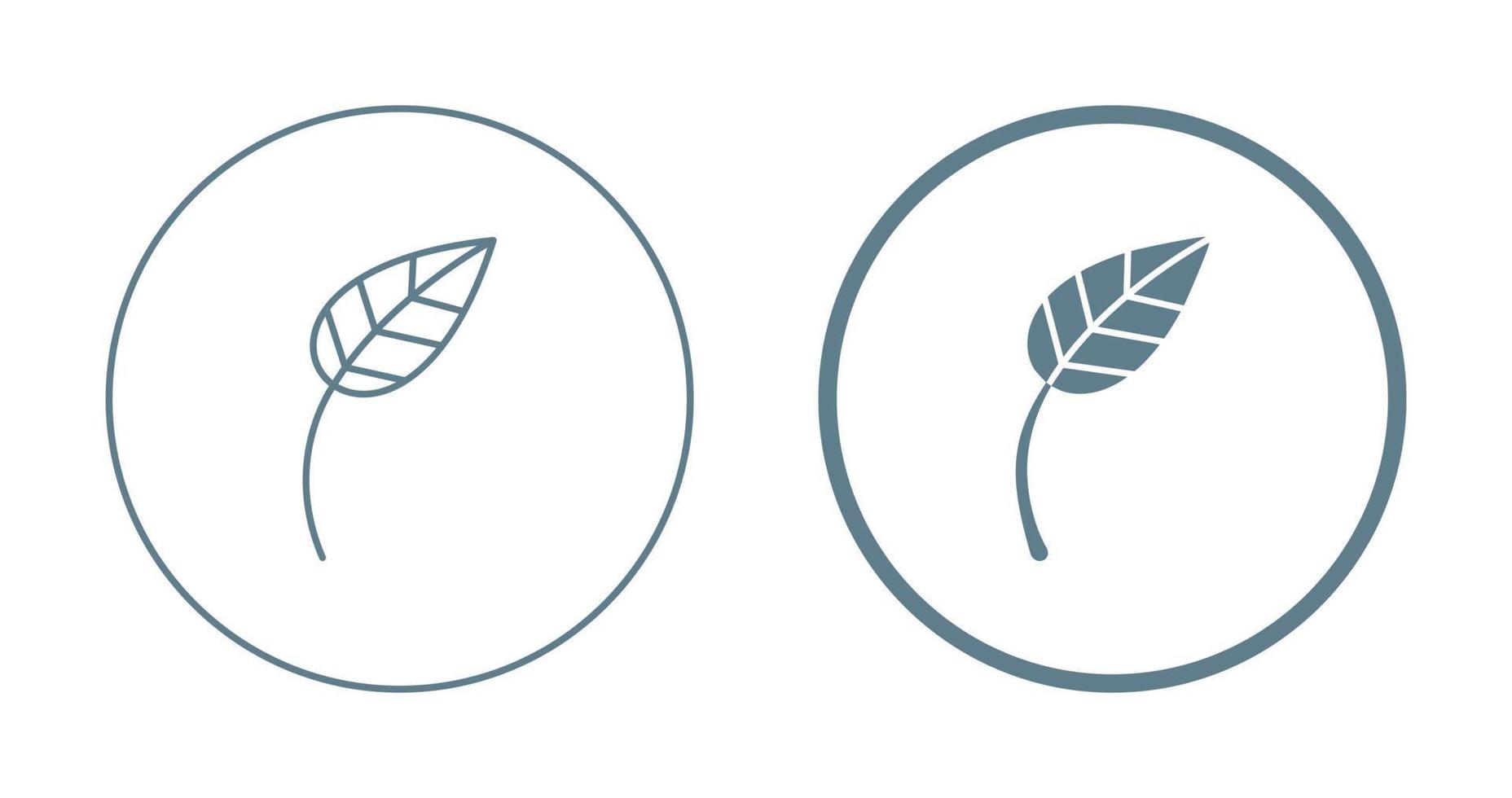 Leaf Vector Icon