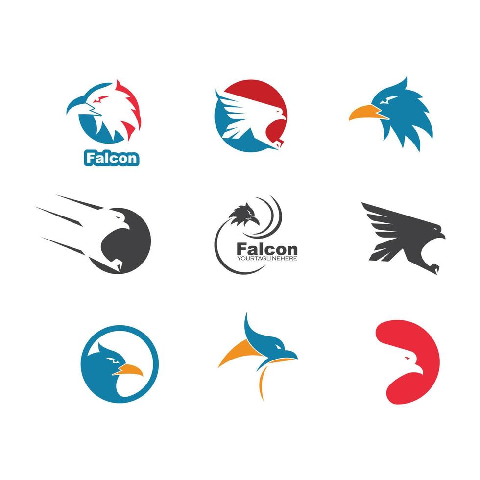 halcón, águila, pájaro, logotipo, plantilla, vector