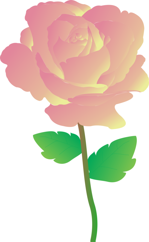 Pink rose flower 3D png