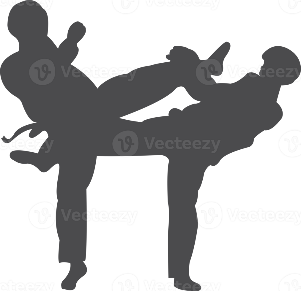 taekwondo silhouette icône png