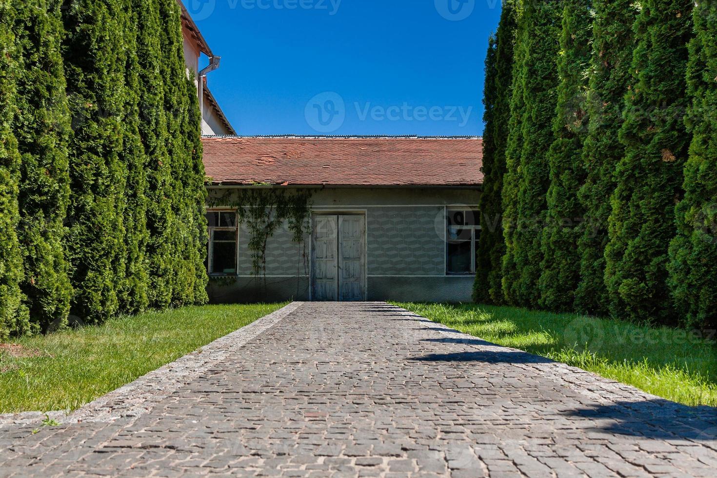 Alley of trees leading to the house with old doors photo