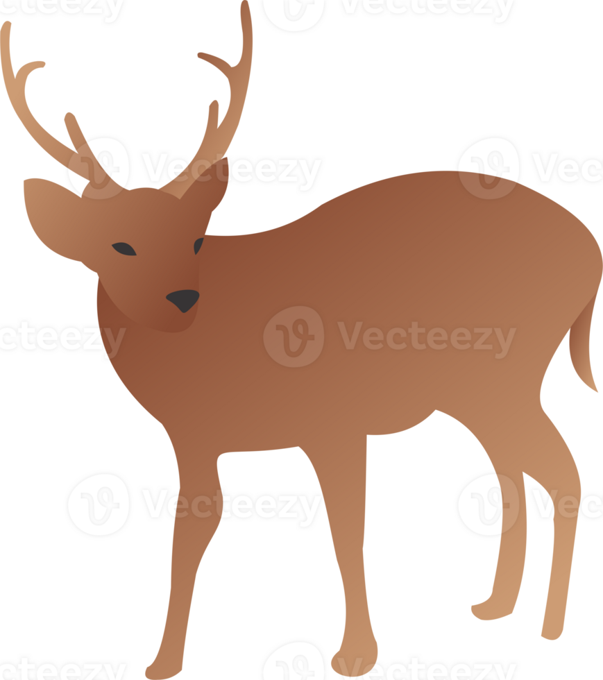 Deer cute PNG