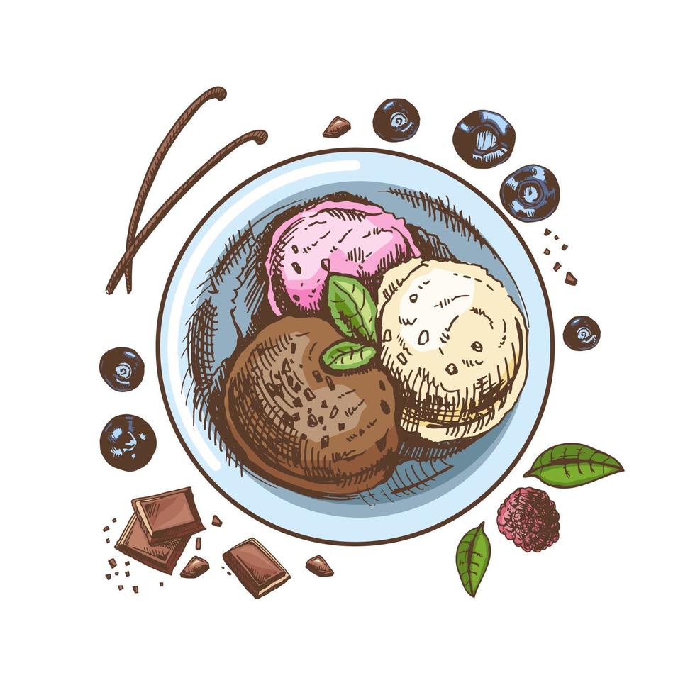 A hand-drawn colored sketch of an ice cream balls  in a plate with chocolate,  berries, vanilla pods.  Top view. Vintage illustration. Element for the design of labels, packaging and postcards. vector