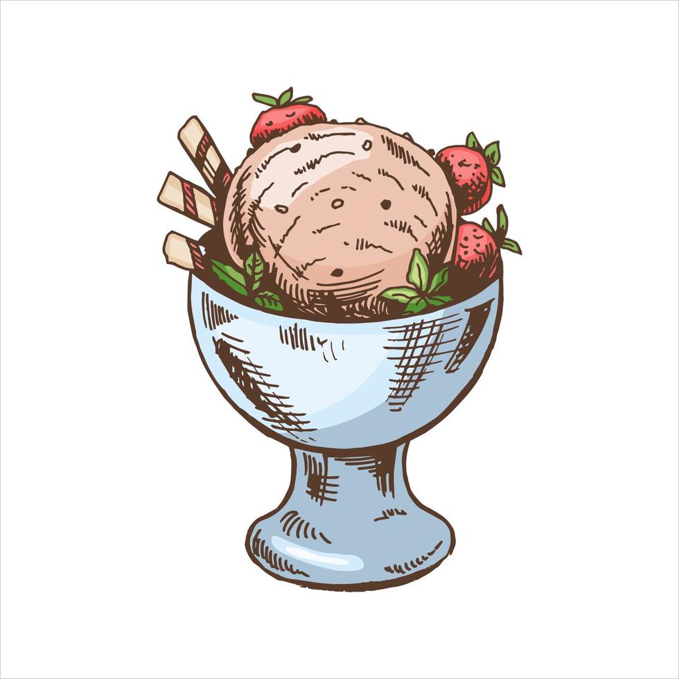 A hand-drawn colored  sketch of  ice cream balls in a cup, strawberry. Vintage illustration. Element for the design of labels, packaging and postcards. vector