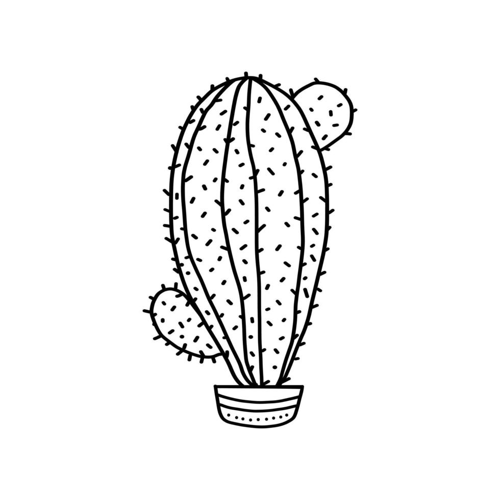 icono de vector de cactus. signo de ilustración de cactus. símbolo o logotipo del desierto.