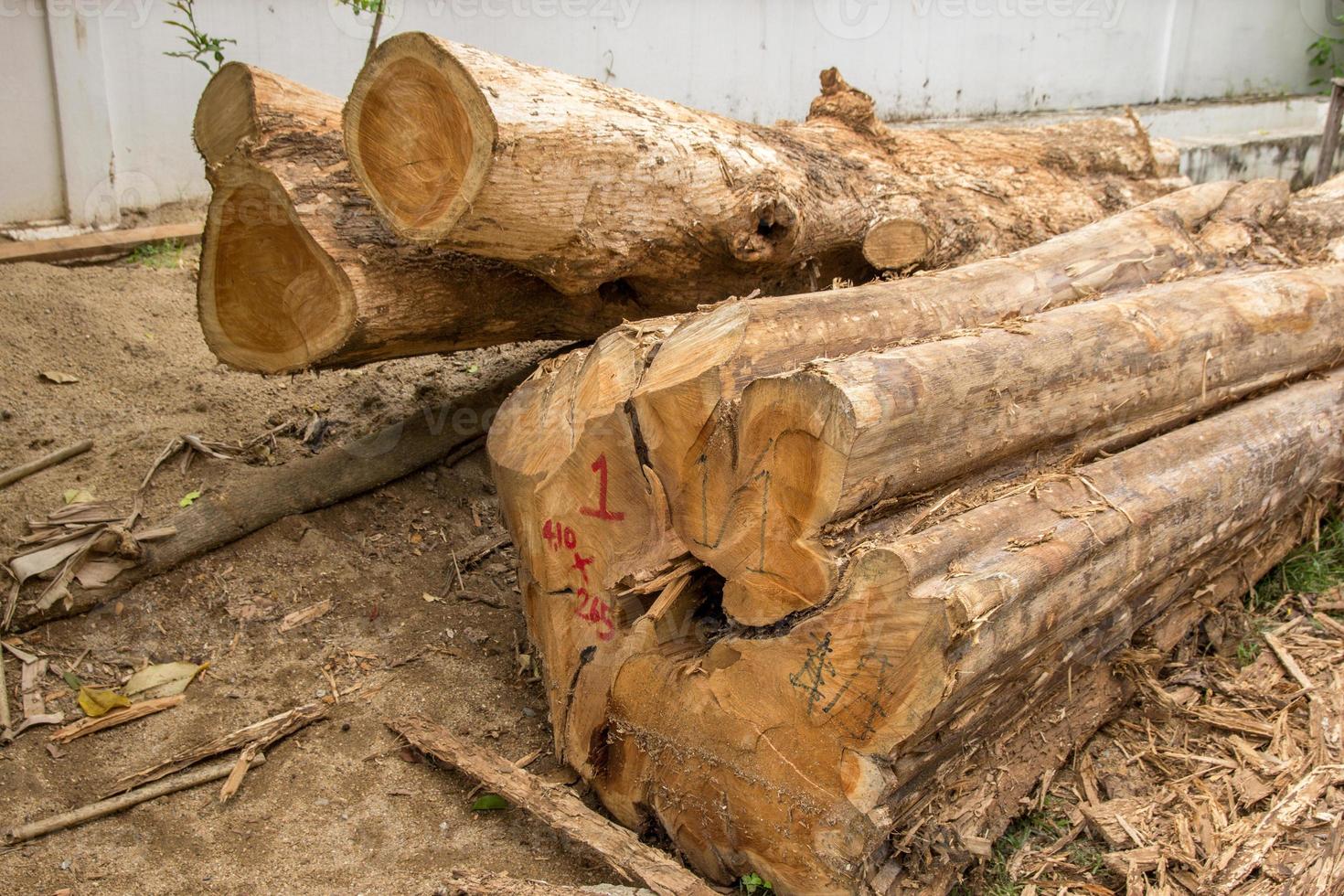 cortar árbol bañador o apilar de madera registros foto