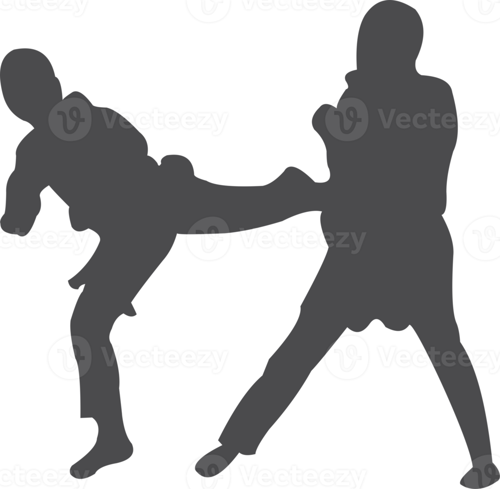 taekwondo silhouet icoon PNG