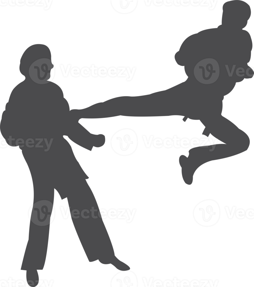 taekwondo silhouet icoon PNG