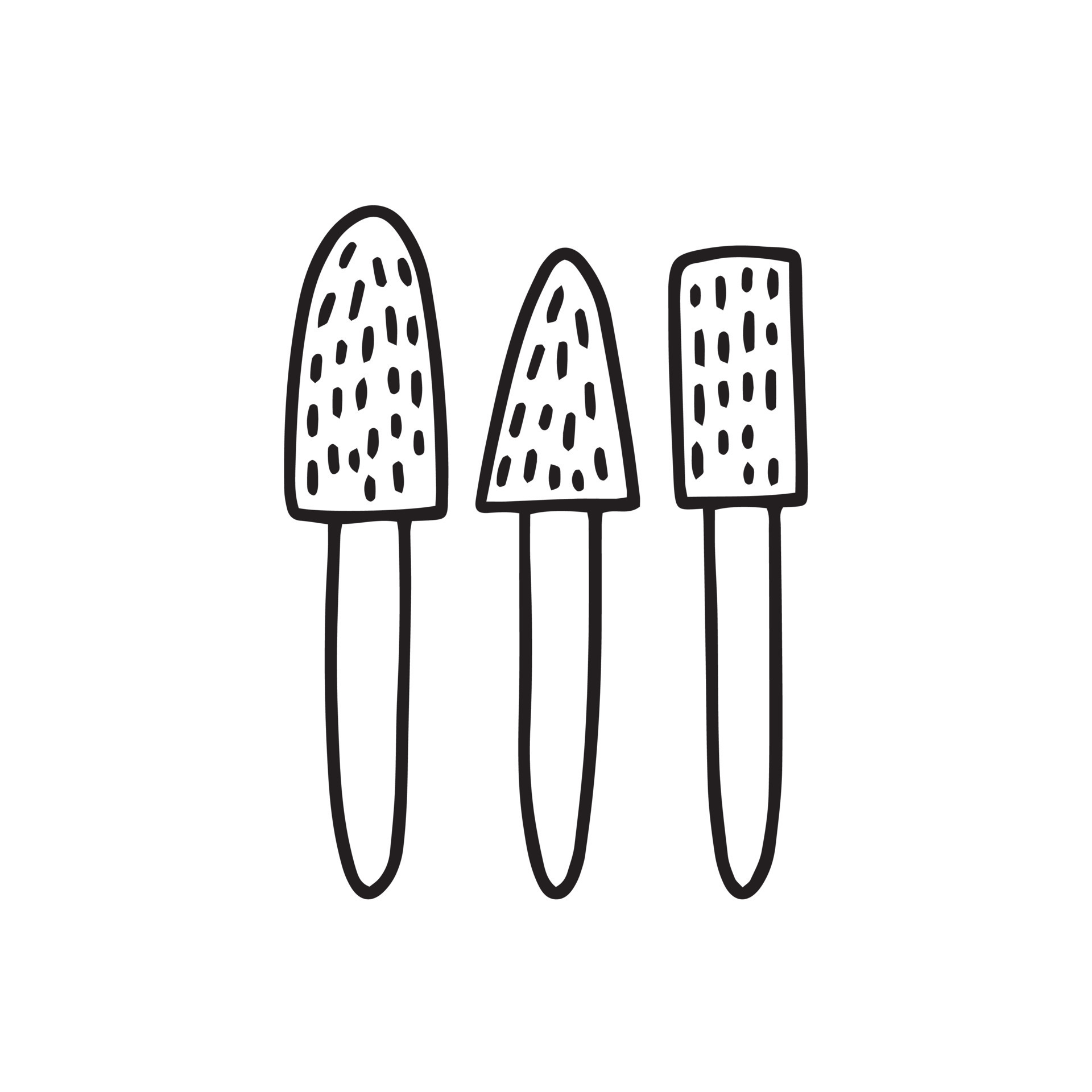 Vector different shapes of grinding and polishing in manicure and