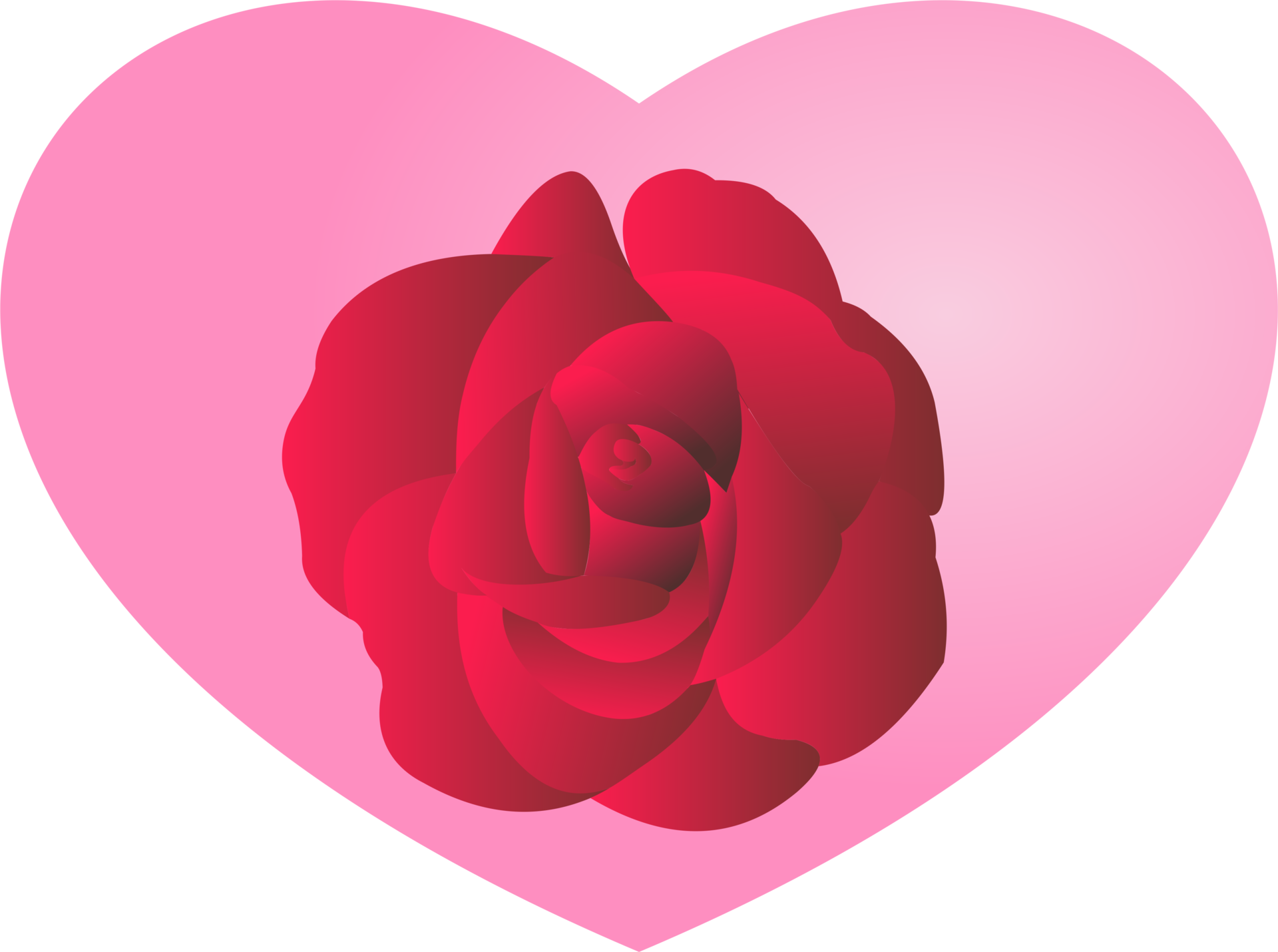 Red rose flower with pink heart PNG 22120377 PNG