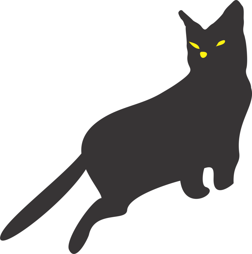 Black cat PNG