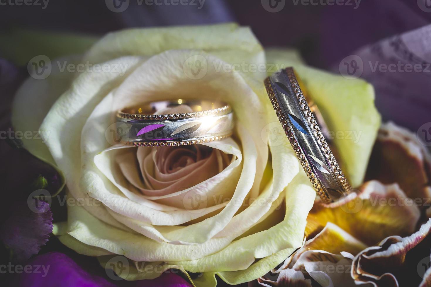 Wedding rings on a white rose photo