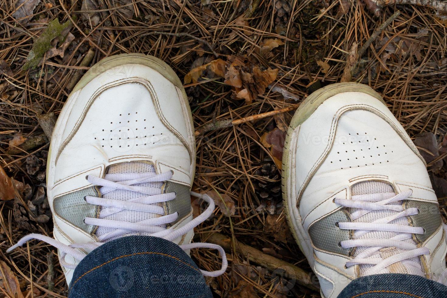 Legs in a sneaker on a forest background photo