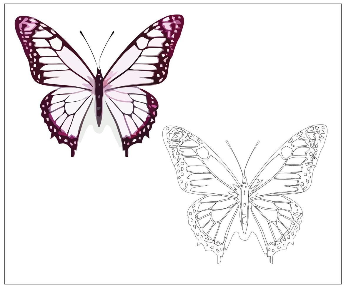 Butterfly Line Art Vector Illustration - Perfect for Nature Designs.