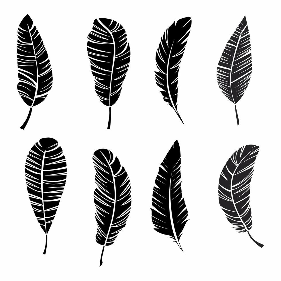 set of highly detailed feathers isolated on white background vector