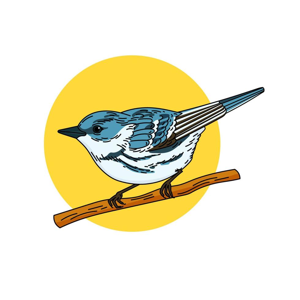 Cerulean Warbler Bird Colored Vector Illustration