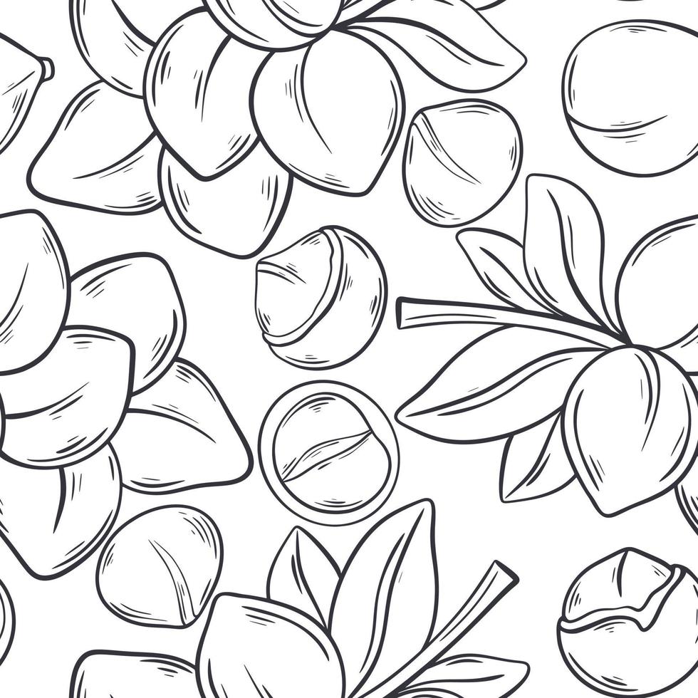 Hand engraved macadamia nut seamless pattern vector